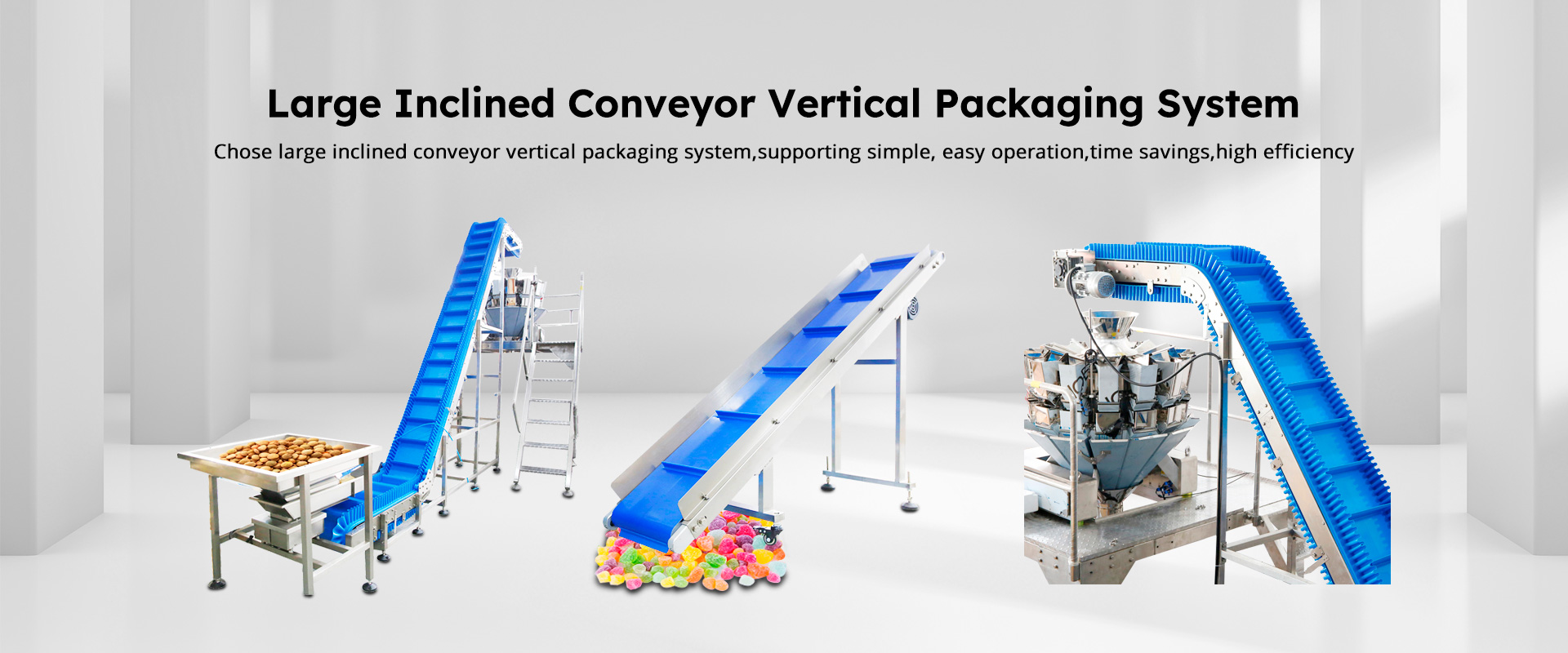 Conveyor, Food Machinery, Packing Machine, Packaging Machinery